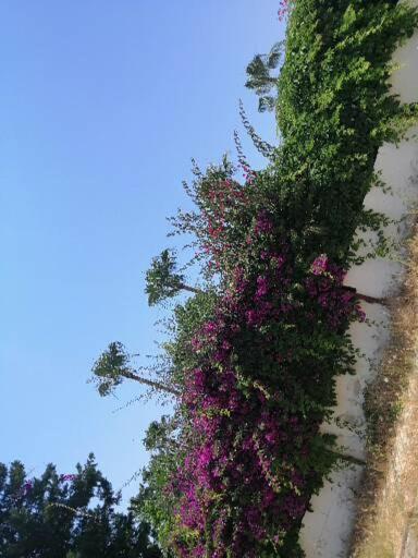 Villa Cimtur Tatil Sitesi 3+1 *